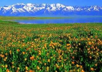 silk road_meitu_3_meitu_4